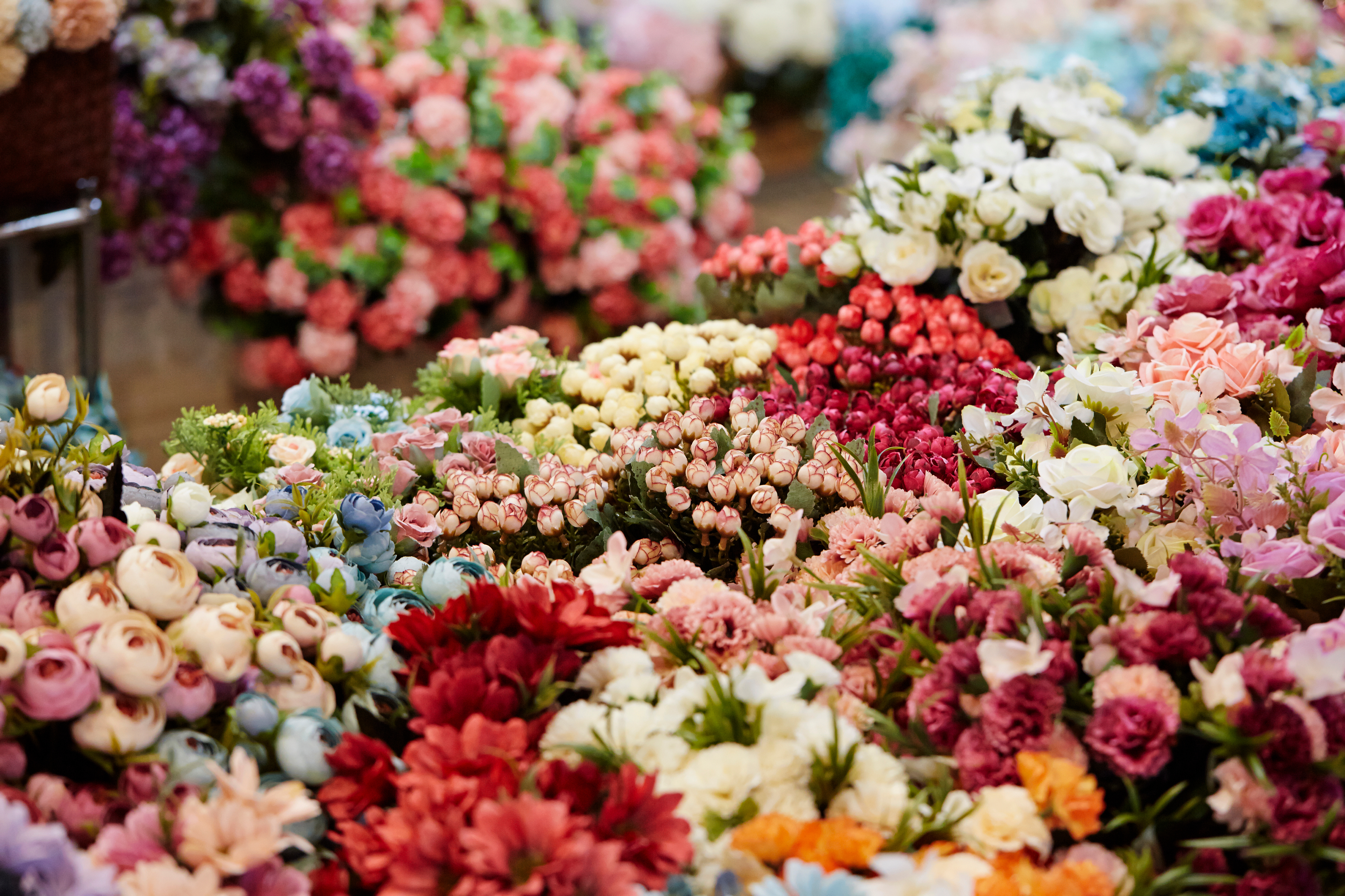 A sea of various flowers. Roses, ranunculus, dahlias, chrysanthemums. Reds, pinks, cream, white, blue, mauve.